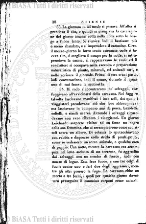 n. 7 (1876) - Pagina: 145
