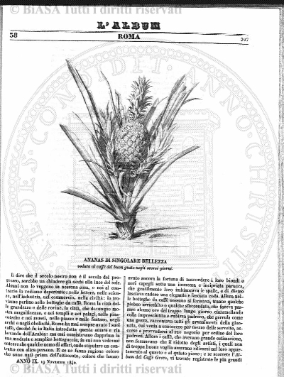 v. 24, n. 40 (1857-1858) - Pagina: 315