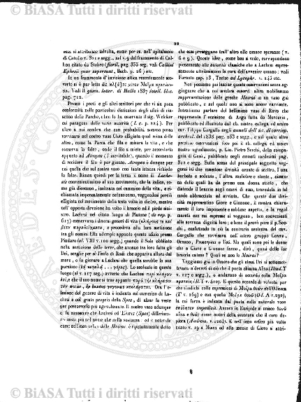n. 23 (1884) - Frontespizio