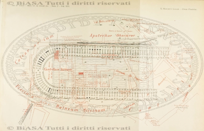 v. 2, n. 31 (1865) - Pagina: 81