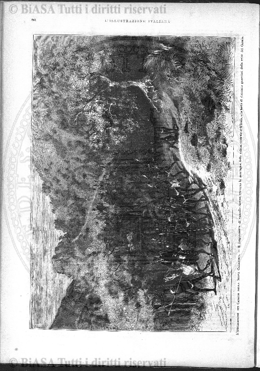 n. 17 (1916) - Copertina: 1