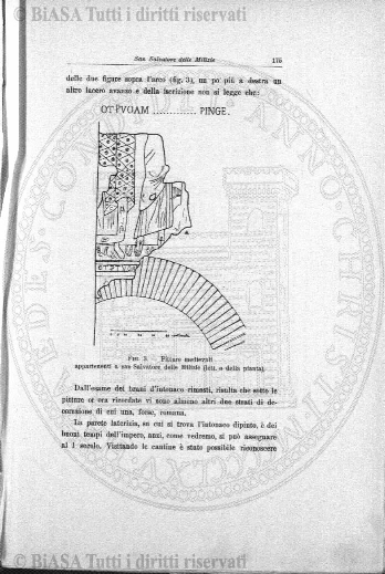 n. 46 (1844-1845) - Pagina: 81