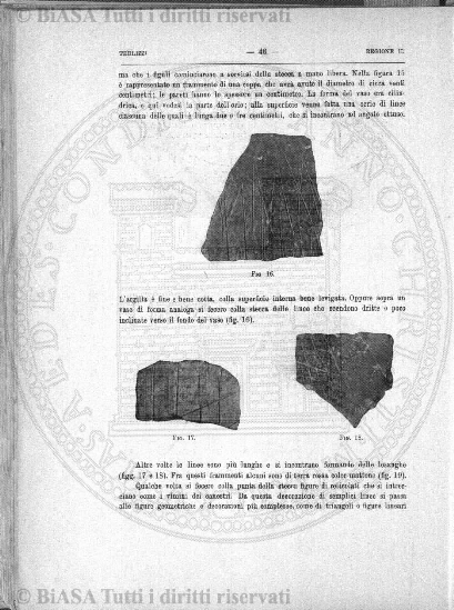 v. 21, n. 9 (1854-1855) - Pagina: 65