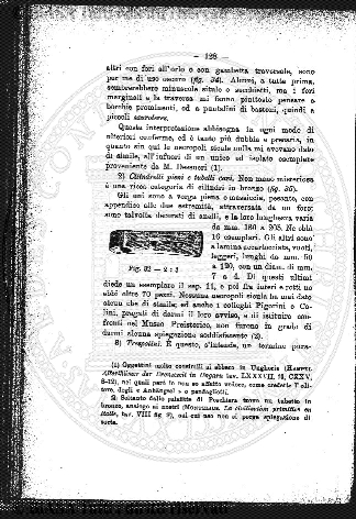 v. 19, n. 15 (1792-1793) - Pagina: 113