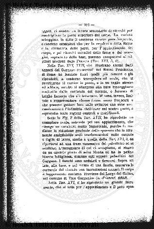 v. 7, n. 14 (1780-1781) - Pagina: 105