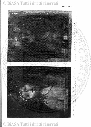 v. 7, n. 11 (1898) - Pagina: 169