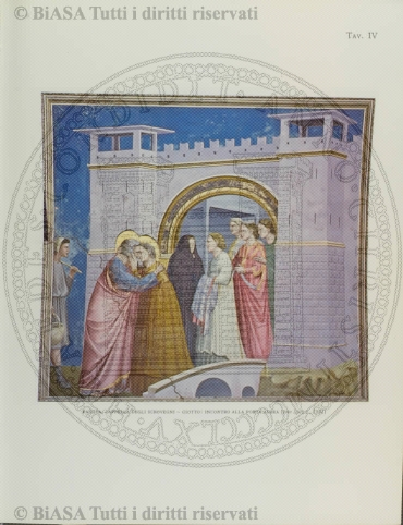 v. 12, n. 28 (1785-1786) - Pagina: 217