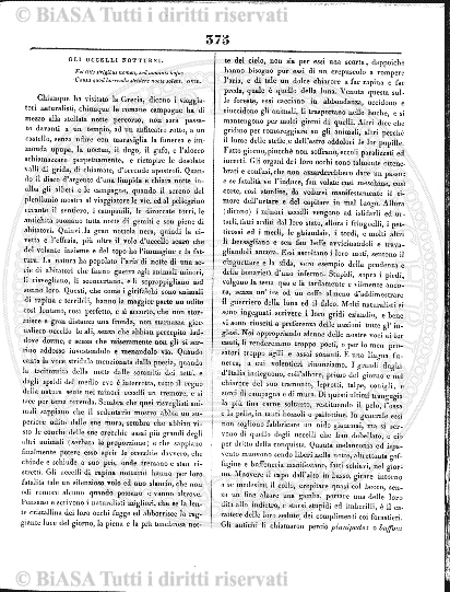 n. 1 (1906) - Frontespizio