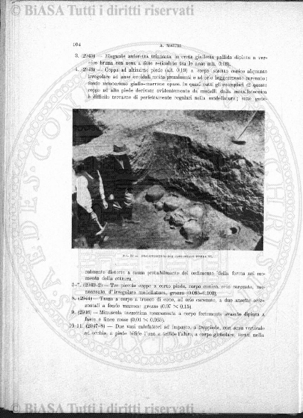 s. 3, n. 12 (1893) - Pagina: 177