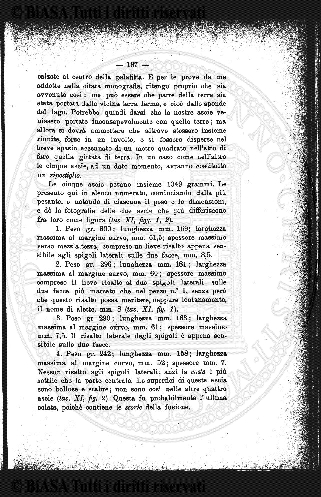 n. 7 (1956) - Pagina: 193