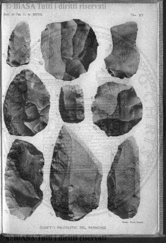 n. 24 (1883) - Pagina: 185 e sommario