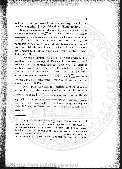 n. 4 (1905) - Pagina: 75