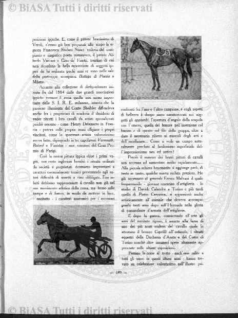n. 12 (1894) - Frontespizio