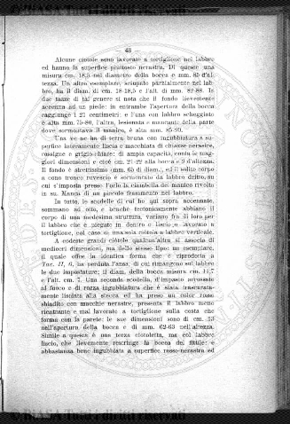 n. 17 (1891) - Frontespizio