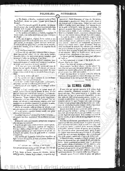 s. 5, v. 20 (1911) - Copertina: 1
