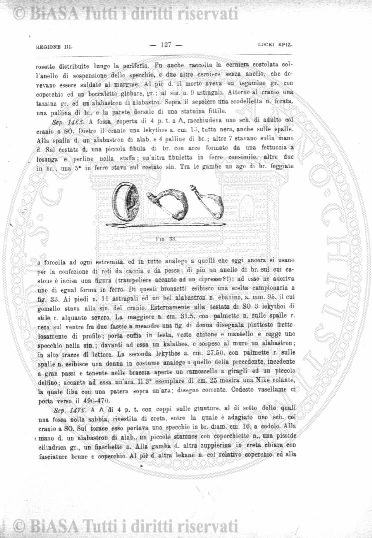 n. 20 (1901) - Frontespizio