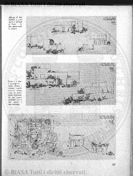 s. 3, v. 7, n. 10-12 (1901) - Pagina: 217