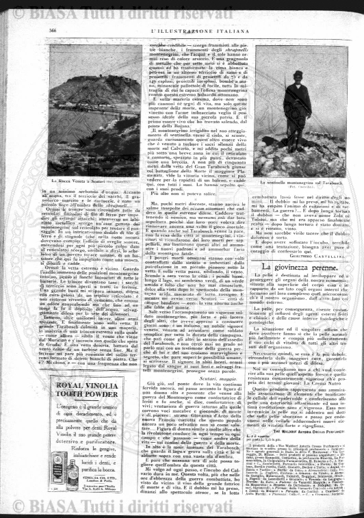 v. 8, n. 5 (1843-1844) - Pagina: 37