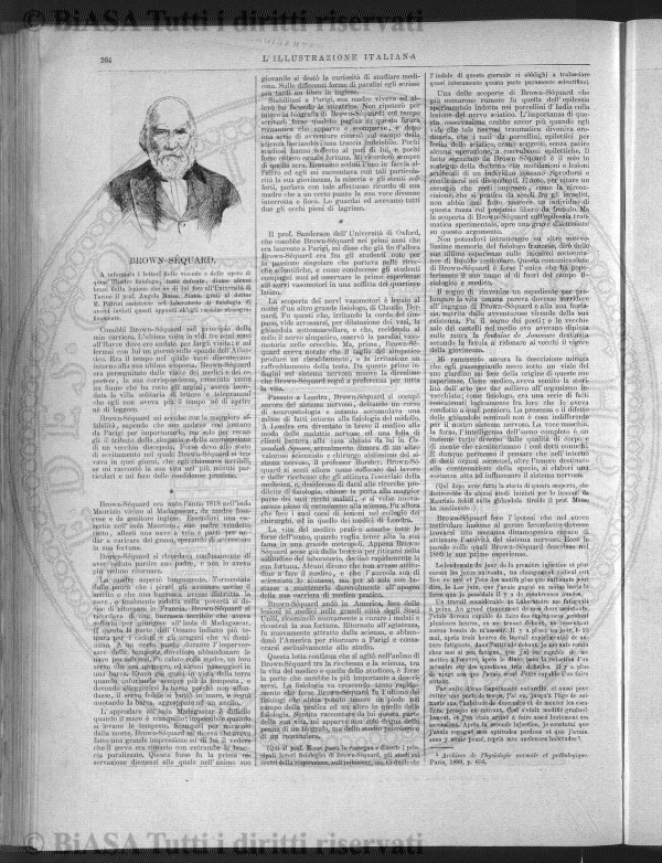 v. 17, n. 11 (1850-1851) - Pagina: 81