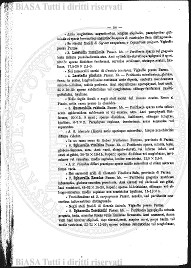 v. 23, n. 4 (1856-1857) - Pagina: 25