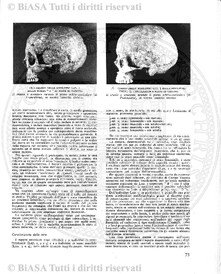 n. 5 (1867) - Pagina: 97