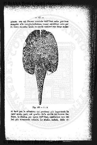 v. 15, n. 10 (1788-1789) - Pagina: 73
