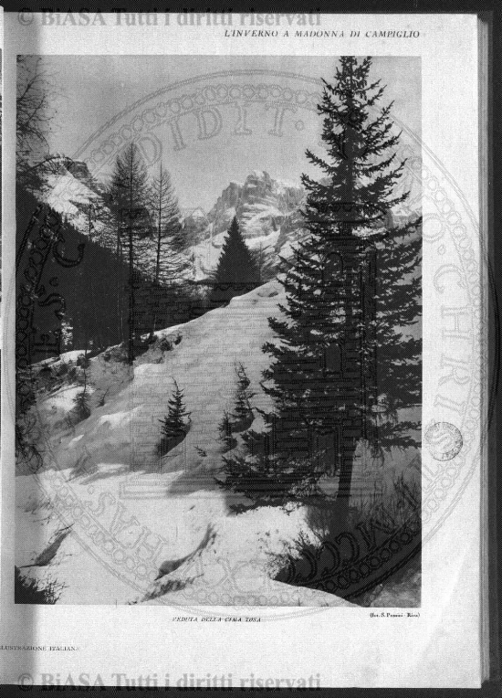 n. 29 (1786) - Pagina: 225