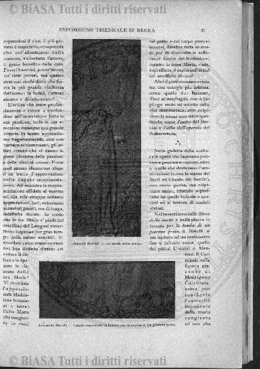v. 7, n. 42 (1898) - Copertina: 1