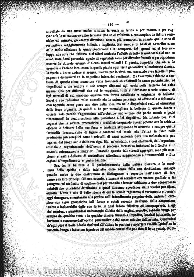 n. 3b (1842) - Pagina: 33