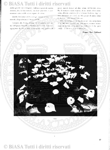 s. 8, v. 1, n. 1 (1946-1948) - Copertina: 1