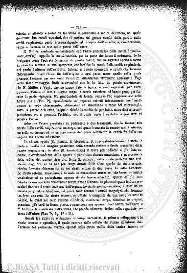 s. 3, v. 2, n. 8 (1884) - Pagina: 249