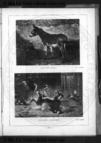 s. 5, v. 15, n. 9 (1915-1918) - Copertina: 1
