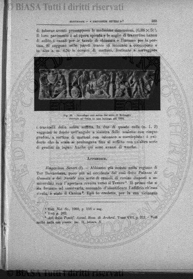 n. 1 (1895) - Copertina: 1