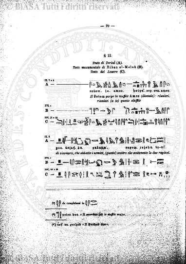 v. 6, n. 39 (1841-1842) - Pagina: 305