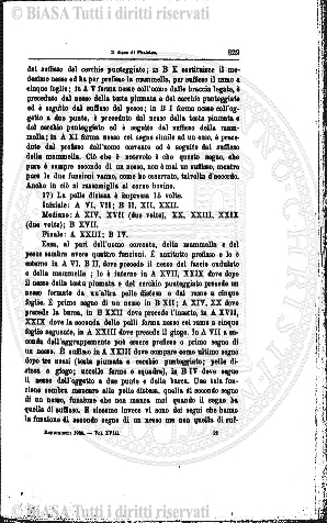 n. 12 (1904) - Frontespizio