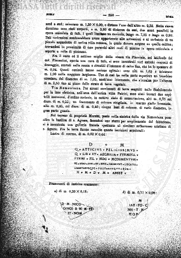 n. 17 (1919) - Copertina: 1