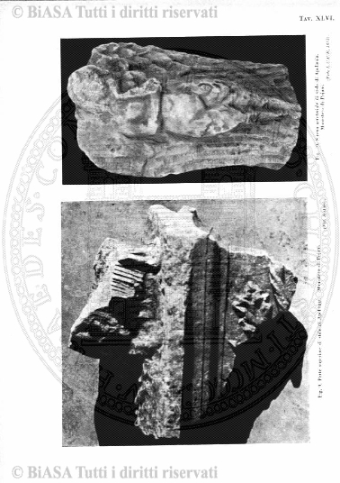 v. 1, n. 5 (1928-1929) - Pagina: 193