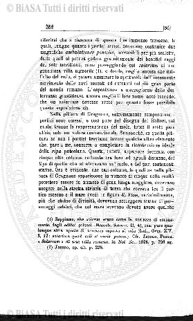 s. 3, v. 6, n. 7-9 (1900) - Pagina: 133