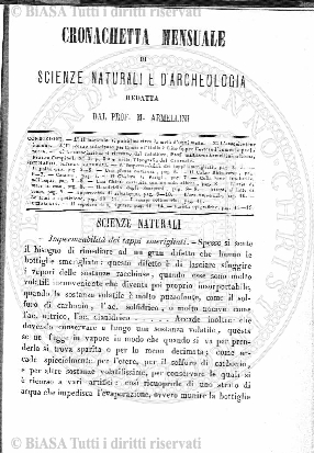 v. 10, n. 19 (1845-1846) - Pagina: 149