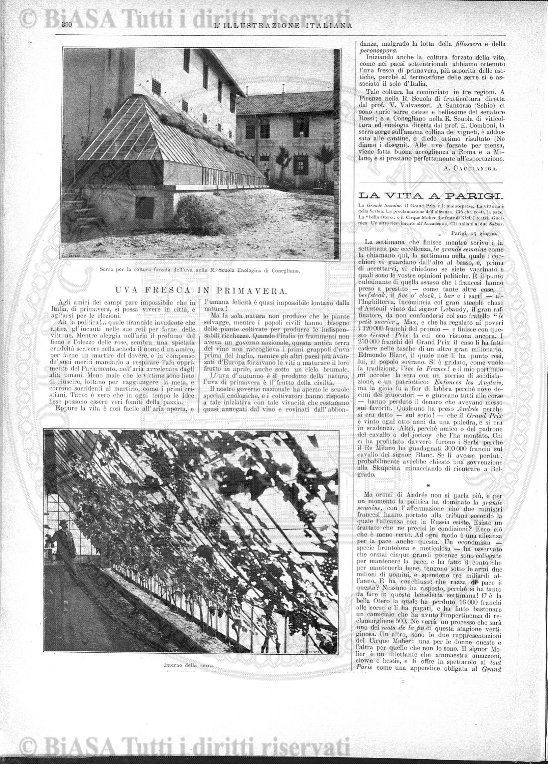 s. 2, n. 45 (1888-1889) - Pagina: 1