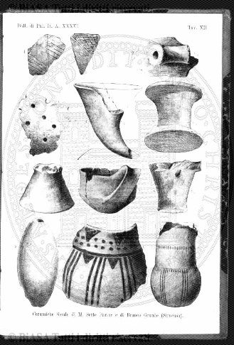 n. 11 (1906) - Pagina: 385