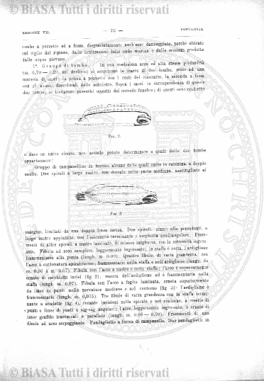 n. 50 (1784) - Pagina: 403