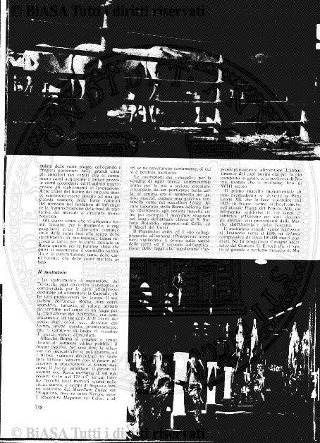 n. 19 (1899) - Frontespizio