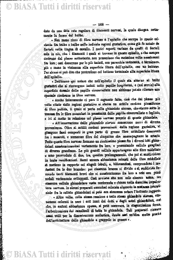 v. 18, n. 103 (1903) - Frontespizio