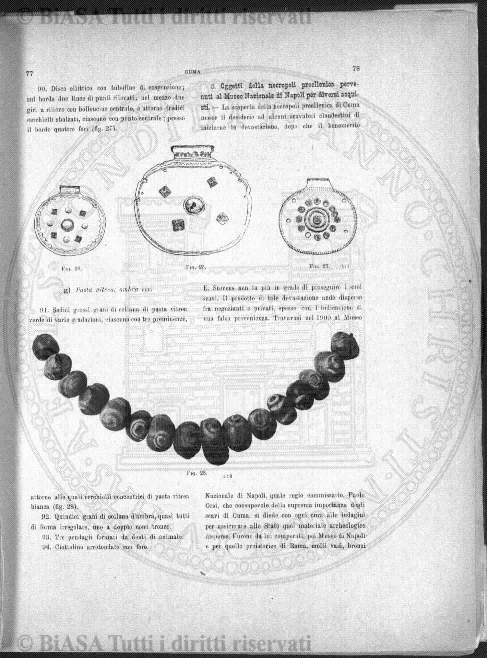 n. 3 (1911-1912) - Pagina: 25