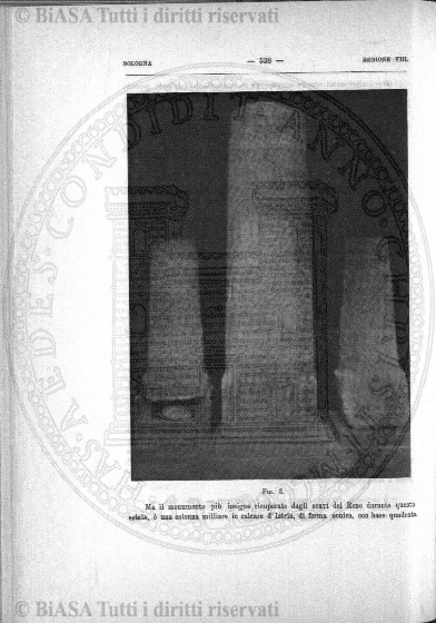 n.5-6 (1869) - Pagina: 65