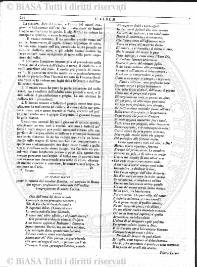 v. 7, n. 50 (1842-1843) - Pagina: 393