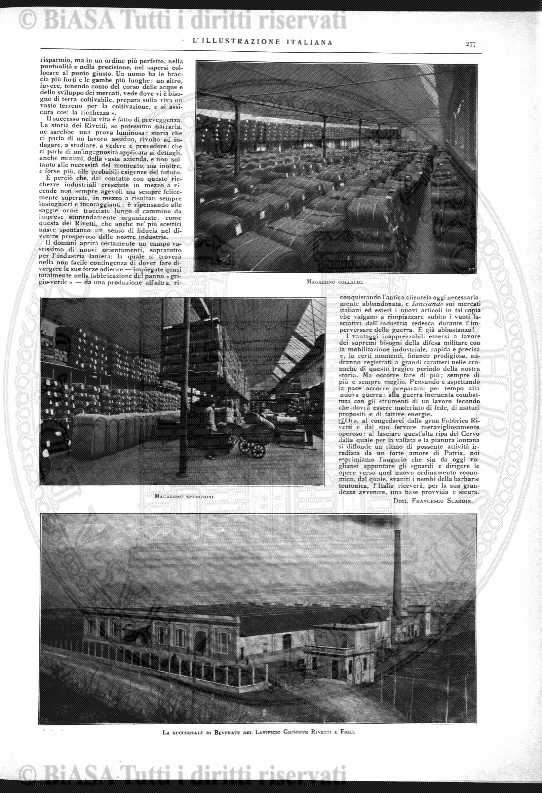 n. 5 (1882) - Pagina: 33 e sommario