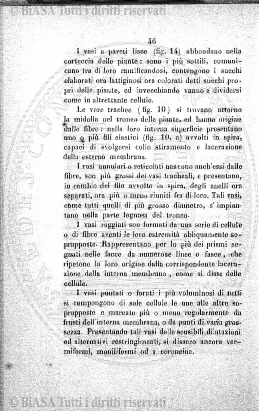 n. 2 (1920) - Pagina: 9