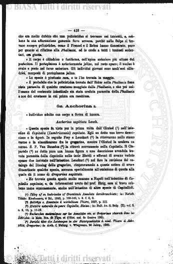 n. 33 (1903) - Frontespizio